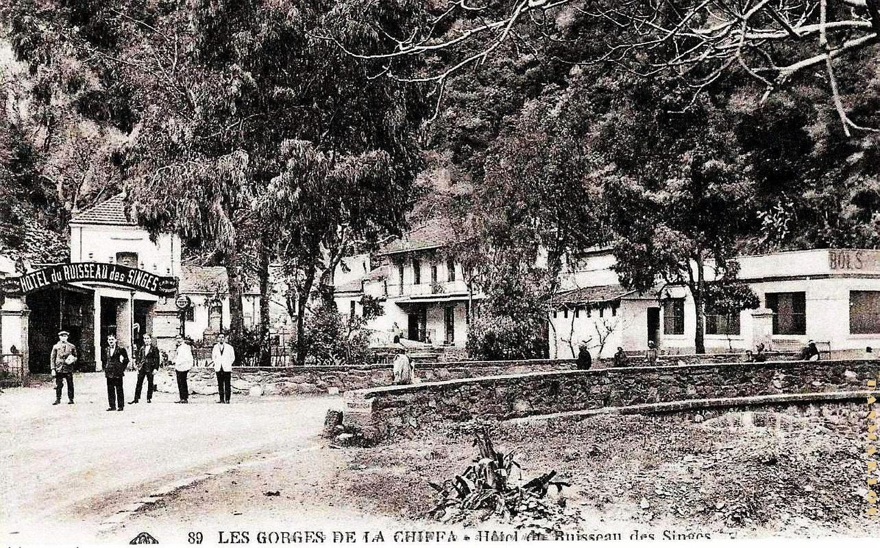 2413- Blida - Gorges de la Chiffa - Hotel du Ruisseau des Singes.jpg